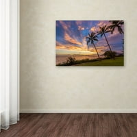 Marcă comercială Fine Art 'Magic Hawaiian Sky' Canvas Art de Pierre Leclerc
