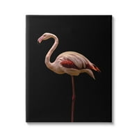 Stupell Industries izbitoare roz Flamingo portret detaliate fotografie Galerie-învelite panza Print Wall Art, 36x48