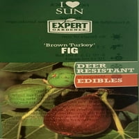 Grădinar Expert 3,25 G Smochin De Curcan Maro Pom Fructifer