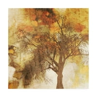 Marcă comercială Fine Art 'Autumn Colored II' Canvas Art de Irena Orlov