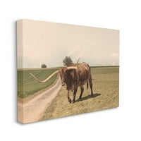 Stupell Industries Longhorn bovine pășunat peisaj rural peisaj fotografie Galerie învelite panza imprimare perete arta, Design