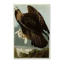 Marcă comercială Fine Art 'Golden Eagleplate 181' Canvas Art de Audubon