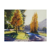 Marcă comercială Fine Art 'Autumn Light Park' Canvas Art de Graham Gercke