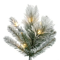 Vickerman 10 '56 S-Au Adunat Jackson Pine Artificiale Pre-Aprins Pom De Crăciun, Lumini Albe Calde