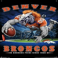 Denver Broncos-Poster de perete pentru zona finală cu știfturi, 22.375 34