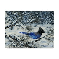 Marcă comercială Fine Art 'Winter Jay' Canvas Art de Jeff Tift