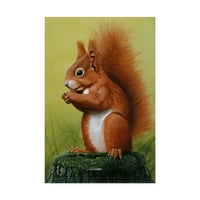Marcă comercială Fine Art 'Red Squirrel Green' Canvas Art de Harro Maass