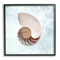 Stupell Industries Aquatic Nautilus Spiral Seashell Graphic Art Black Framed Art Print Wall Art, Design de Marcus Prime